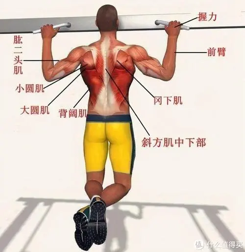 <strong>如何选择适合你的音频功率放大器？</strong>